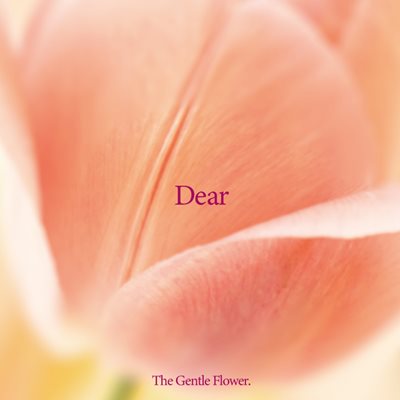 The Gentle Flower.