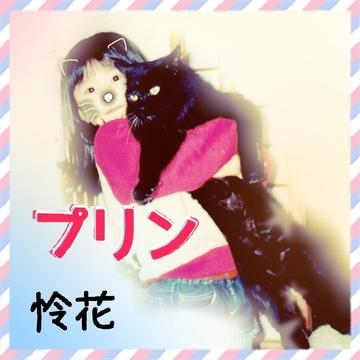 プリン 今は亡き猫の気持ちを歌にした曲です れいたむ 怜花どきどき花音 のaudio楽曲ページ インディーズバンド音楽配信サイトeggs